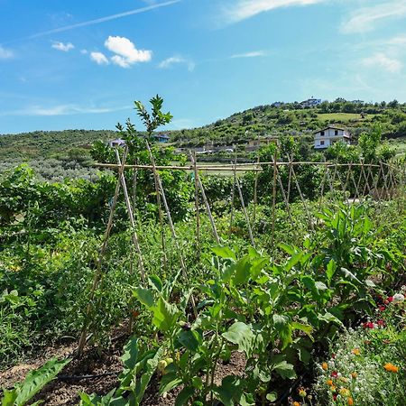 Villa Xherimeja Family Oasis Berat Exterior photo